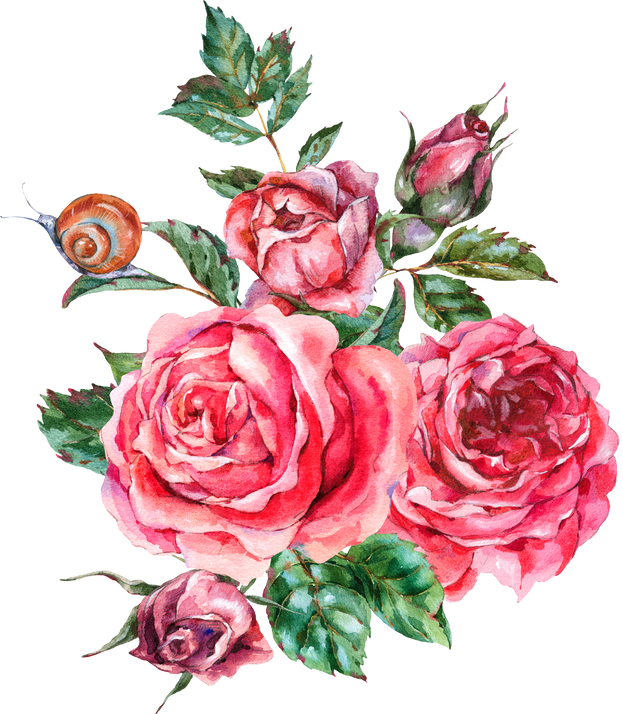 Watercolor Baroque Blooming Vintage Roses